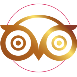 Trip advisor link