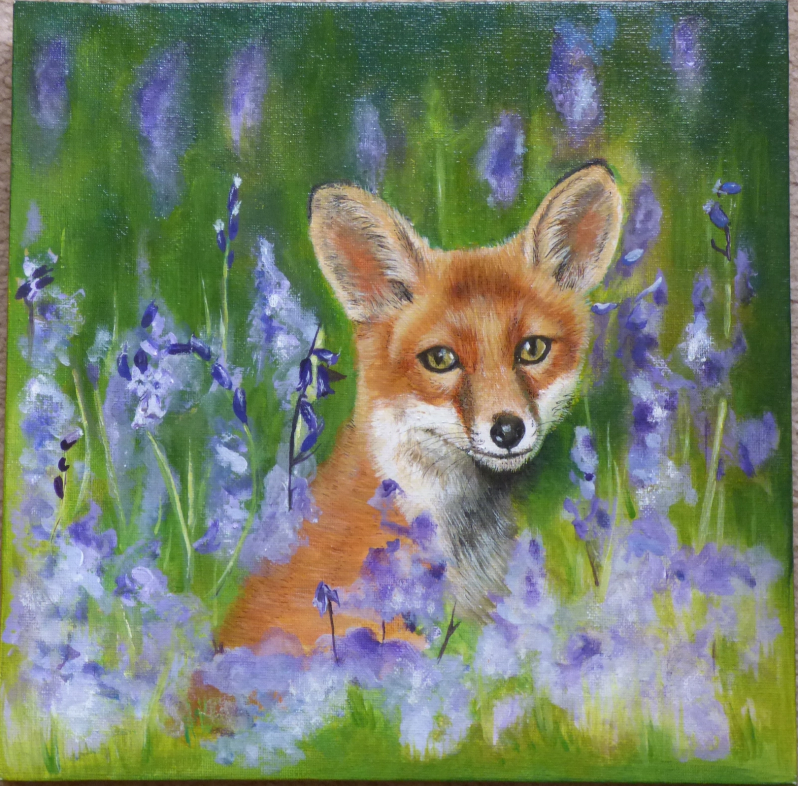 Fox in spring